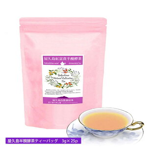 o u gxM G vׂɂӂ eB[obO 3g×25p_ w엿 _Β E[  t  Y v [R Y