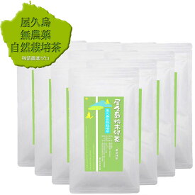 無農薬 無化学肥料 残留農薬ゼロ《私たちが作った屋久島自然栽培茶です》 一番茶 粉末緑茶 パウダーティー 100g×10　お得