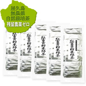 c_ U_ [ o gxM Β XeBbN 0.5g×30p×5yۗpz _ w엿 v R͔| Β   ׂɂӂ