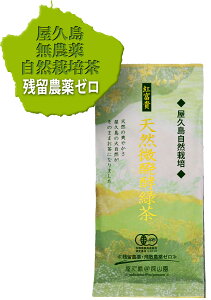 y 2025 V z L@ gxM ׂɂӂu VRyΒ v 80g×1 v R͔|  _ w엿 c_ U_ [ Β I[KjbN ≷p