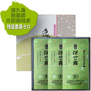 y 2025 V zo L@  Β v R͔|u[R̘Iv100g×3 () _ w엿 c_ U_ [ v R͔|  Β Mtg I[KjbN