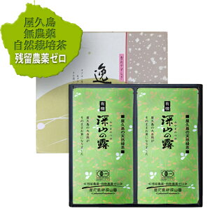 【 2025 新茶 】水出し 有機 お茶 緑茶 屋久島 自然栽培「深山の露」100g×2 (箱入り) 無農薬 無化学肥料 残留農薬 飛散農薬 ゼロ 屋久島 自然栽培 煎茶 緑茶 ギフト オーガニック