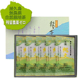 y 2025 V z o L@ u ꕶ v 100g×5 薳_ w엿 c_ U_ [ v R͔|  Β Mtg