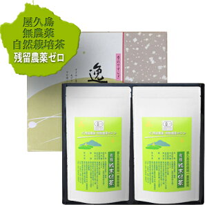 c_ U_ [ o L@ Ԓ Β 100g×2  Mtg pE_[ eB[ _ w엿 v R͔|   Mtg I[KjbN