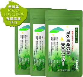 無農薬 無化学肥料 桑の葉 桑茶 パウダー パウダーティー 粉末 茶葉 鹿児島茶 国産 屋久島 深山園 屋久島 桑の葉 天然 パウダー茶 45g×3