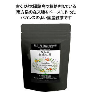 ݗg 40g _ w엿 c_ U_ [ v R͔| Y ≷p