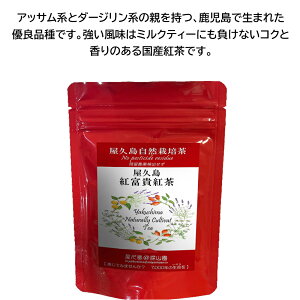 ׂɂӂ g [t 40g gxM _ w엿 c_ U_ [ v R͔| Y ≷p