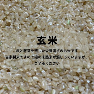 y_򖳉w엿zyߘa7NYVāz 쌧Y MBɓߒJ L@͔| I[KjbN RVqJ ͂| V _ƒ R  SS Nu qɂS 