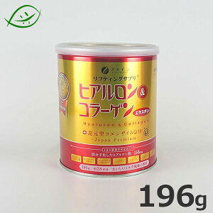 t@C@qAR[Q{Ҍ^CoQ10 [ ʓ ] @196g