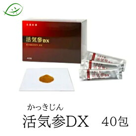 トライハー　高麗人参　活気参DX　かっきじん　カッキジン　1.8g×40包　レビュー高評価！