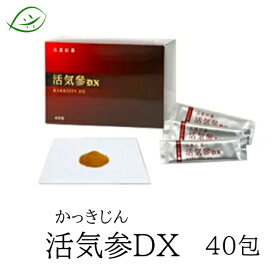 【マラソンクーポン配布】トライハー　高麗人参　活気参DX　かっきじん　カッキジン　1.8g×40包　レビュー高評価！