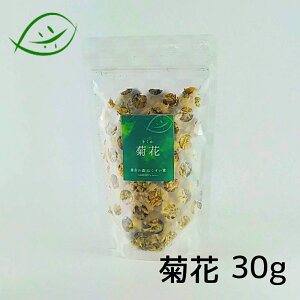 e @30g Y@LNJ@ RCV@HAKUSUI's select@eԒ@@SY