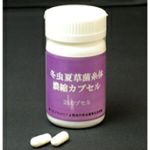 八ツ目製薬 冬虫夏草菌糸体 25カプセル 濃縮カプセル とうちゅうかそう 八つ目