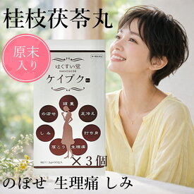 【第2類医薬品】原末入り　ケイブク90包（30日分）×3個セット　桂枝茯苓丸料（けいしぶくりょうがん/ケイシブクリョウガン）桂枝茯苓湯　けいしぶくりょうとう　月経不順/月経痛/更年期/しみ　漢方薬　シミを体の中から改善