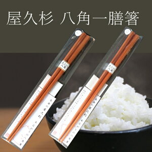 v p  V ؐ  N̗ǂ j  蕨 v[g hV̓ ̓ ̓ Mtg pV