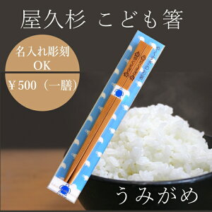  Ή v q  J 킢 ؐ LbY q j̎q ̎q { w  v[g Mtg 蕨 ٓ  }C q E~K