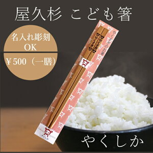  Ή v q  VJ 킢 ؐ LbY q j̎q ̎q { w  v[g Mtg 蕨 ٓ  }C q NVJ