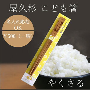 ꖳ v q  T 킢 ؐ LbY q j̎q ̎q { w  v[g Mtg 蕨 ٓ  }C q NT