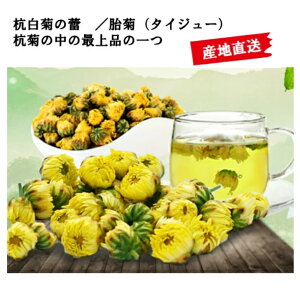 eQ/ًei^CW[j50gܓ@Ԓ@N@