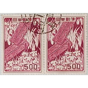 gpϐ؎ i ` ̎G 500~×2 o f ubN ̎RR[i[