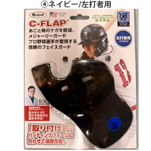 싅 Ŏҗph tFCXK[h tFCXveN^[ Ctbv C-FLAP Ŏҗp LHBM^EŎҗp RHBM