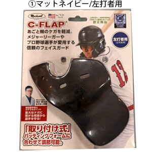 싅 Ŏҗph tFCXK[h tFCXveN^[ Ctbv C-FLAP Ŏҗp LHBM^EŎҗp RHBM