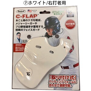 싅 Ŏҗph tFCXK[h tFCXveN^[ Ctbv C-FLAP Ŏҗp LHBM^EŎҗp RHBM