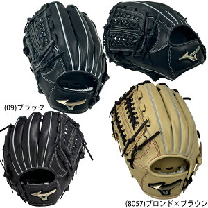 ~Ym 싅 WjA Ou I[Eh E^ TCYL w4-6 g145`155 O[oG[g Hselection SIGNA 1AJGY32230