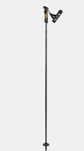 2024/2025���f�� ROSSIGNOL ���V�j���[�� �X�L�[�|�[�� TACTIC CARBON CLIP COPPER �X�g�b�N