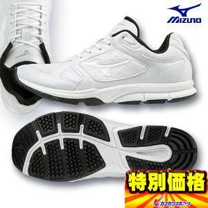 ~Ym 싅 g[jOV[Y Y [eBeBg[i[ 11GT192001