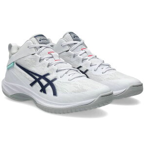 �A�V�b�N�X �o�X�P�b�g�{�[���V���[�Y GELHOOP V17 �Q���t�[�vV17 �X�^���_�[�h���X�g 1063A096-104