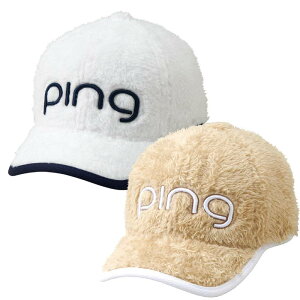 PING s fB[X St HW-L2204 fB[X{ALbv