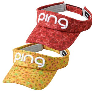 PING sSt fB[X HW-A2207 u[CUfU[goCU[ |Cg10{