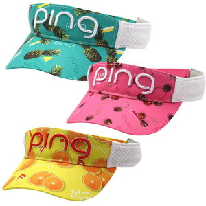 PING sSt fB[X HW-A2308 tbVt[coCU[ |Cg10{