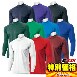 2022Nf GXGXPC ԃA_[Vc GA[t@ nClbNA_[Vc SCF170HL 10FWJ