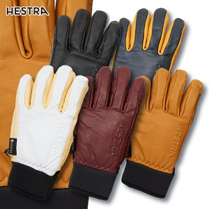 wXg XL[/Xm[{[h O[u Ij SAebNX tU[ OMNI GTX 31910