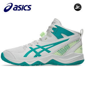 AVbNX WjApoXPbg{[V[Y _NVbgMB10 1064A019-100