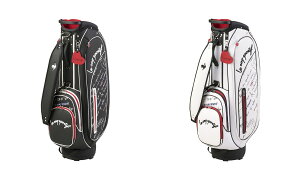 RbNX|eBtiStj ubNgRfUC LfBobO IWil[v[gt 8.5^