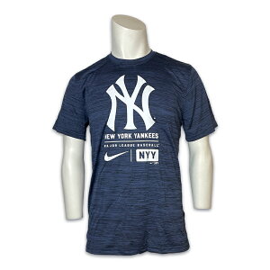 iCL TVc NIKE j[[NEL[X 싅 x[X{[ l |GXe  lCr[ 44BNKB1Y