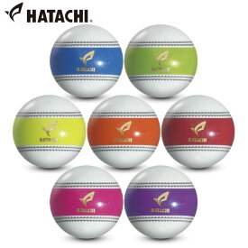 ハタチ HATACHI パークゴルフボール ナビゲーションボール PH3720