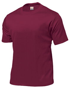 EhE wundou P-110J I[X|[c TVc ^thCTVc o[KfB