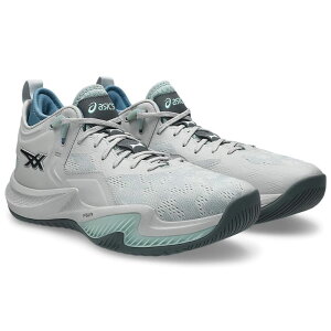 �A�V�b�N�X �o�X�P�b�g�{�[���V���[�Y NOVA SURGE LOW2 CloudGrey/SteelGrey 1061A051-020