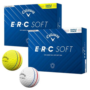 LEFC St {[ EEREC SOFT _[X̔