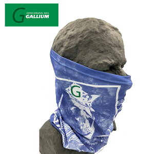 KE GALLIUM lbNK[^[Dry SKULL BLUEyCY[