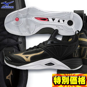 ミズノ バレーボールシューズ ウエーブモーメンタム2 V1GA211252