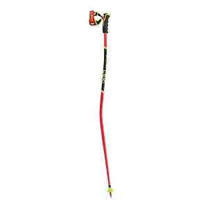LEKI L XL[|[ WCR TBS GS 3D uCgbh