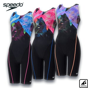 Xs[h iw[Xj[XLifB[Xj fB[X j[XL^I[C SFW12567