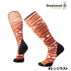 X}[gE[ C XL[ ^[QbgNbV RCfBONEYvg