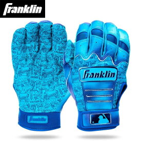 フランクリン バッティング手袋両手用 2025CFX PRO JEWEL EVENT FATHERS DAY 父の日限定モデル 20373