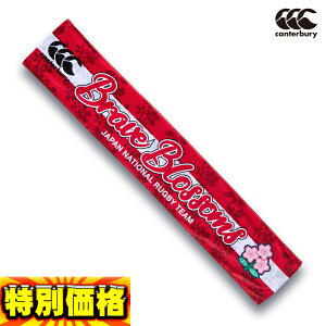 �J���^�x���[ �W���p���^�I���}�t���[ AA04787